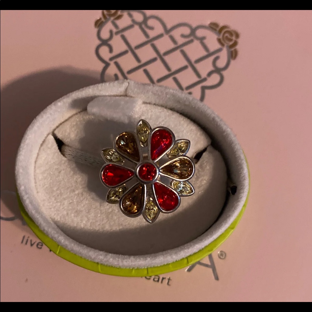 Rare Chamilia Swarovski Collab Oversized Clip Charm